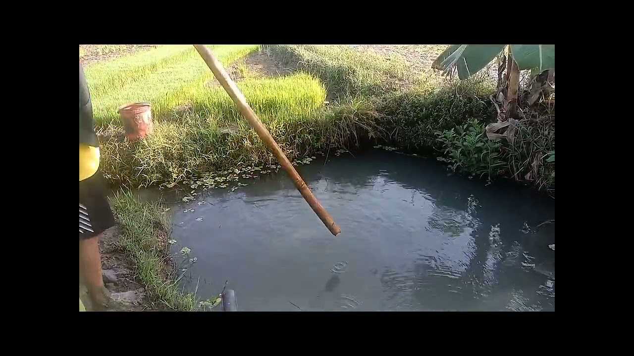 KUBO Tour sa Palayan/  Buhay probinsya vlog