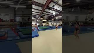 Flyspring