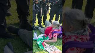 Famous Older woman knocked down during DNC protest in Chicago Profile