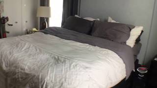 Denver Apartment For Rent - 1 Bed 1 Bath