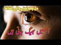 Ankhain bheg jati hain  beautiful poetry  sjani studio  artist iftikhar malik