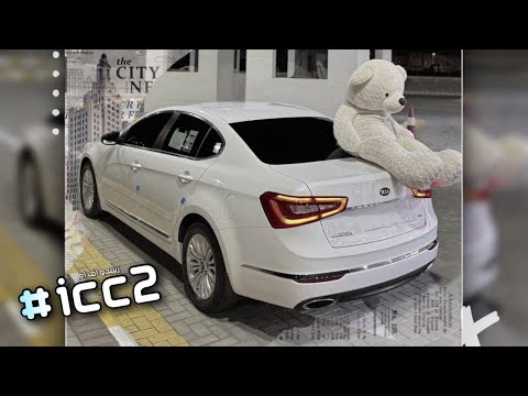 ريمكس مصري 2024 جديد شواحه تحت المويه حصري مطلوب اكثر شي