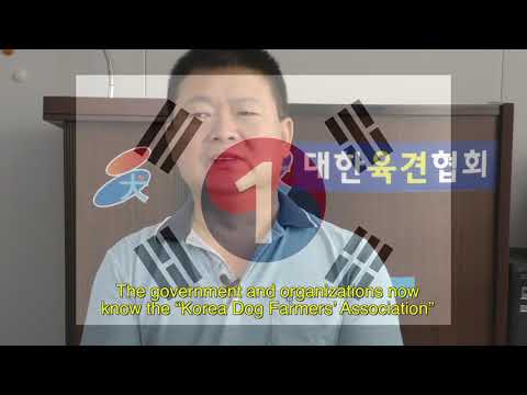 The Dog Meat Professionals: South Korea