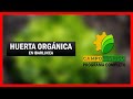 Visitamos la Huerta Sana  Ibarlucea (Huerta Orgánica) | Campo Técnico