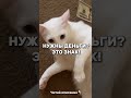😳Нужны деньги?