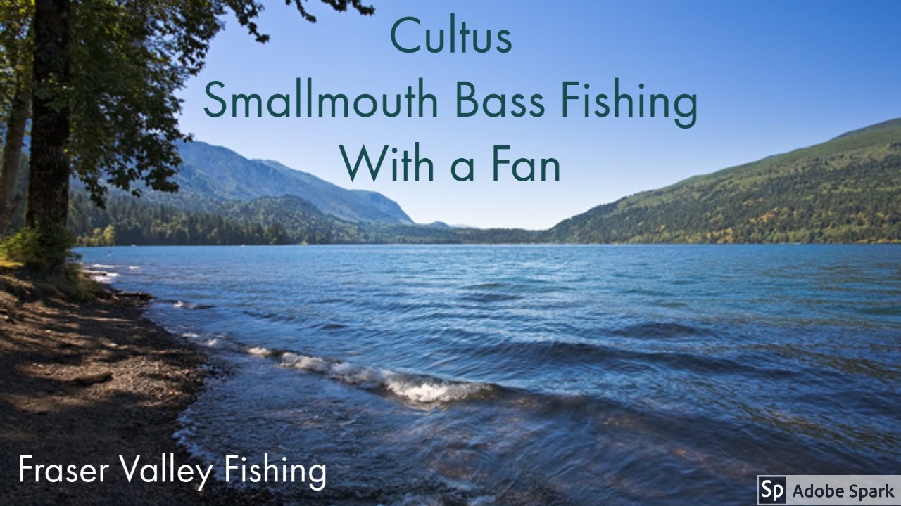 Smallmouth Bass Fishing at Cultus Lake with a Fan! YouTube