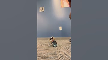 PI of the PID control Self-Balance Robot Tumbller Robot