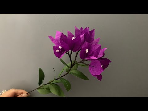 Bella’s Craft/ How to make Bougainvillea by crepe paper/ Hướng dẫn làm hoa giấy bằng giấy nhún