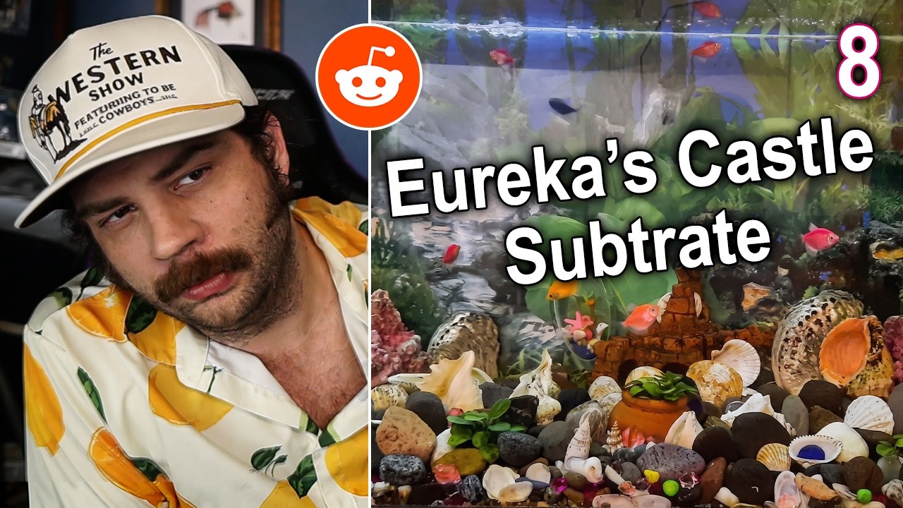 Fishkeeper Reacts to the Worst Internet Aquariums Pt 8