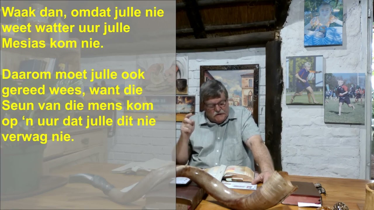 Die vervulling van bybelse profisieë