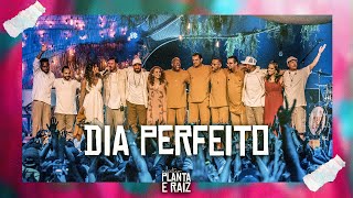Video thumbnail of "Dia Perfeito - Acústico Planta & Raiz  2022 - Ao Vivo em SP"