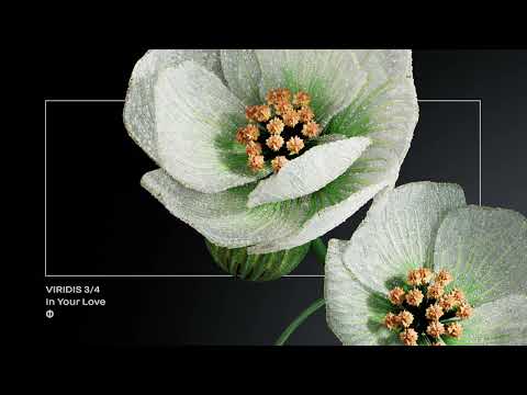 Camille Luciani In Your Love 