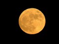 May 30 2026 MicroMoon BlueMoon Filmed With 1800mm Focal Length (600mm + 3X Teleconverter) RME 4966