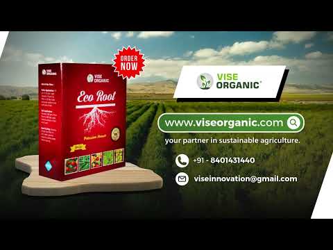 "Eco Root: Maximize Crop Health with Powerful Root Enhancement" - video from Vise Innovative solution enterprise