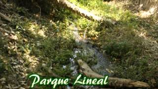 Alta Loma Residencial