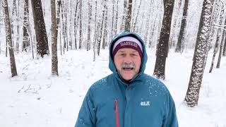 Where do mosquitoes go in winter? #ProfConn reports from snowy Tennessee. #ProfConn reports