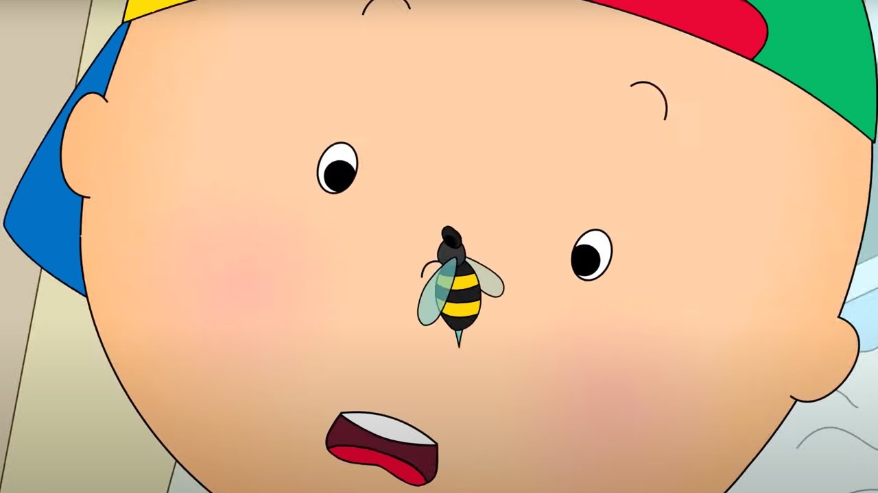 ⁣Caillou and the Wasp | Caillou Cartoon
