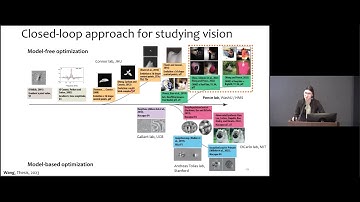 [Special Seminar] Geometry of Ventral Neuronal Tuning and Its Alignment with Generative Manifolds