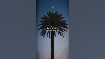Read and reflect. ‏ سورة الحشر #quranic #quran #islam #allah #quranquotes #فلسطين #palestine