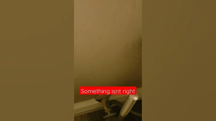 Weird plumbing noises in the wall