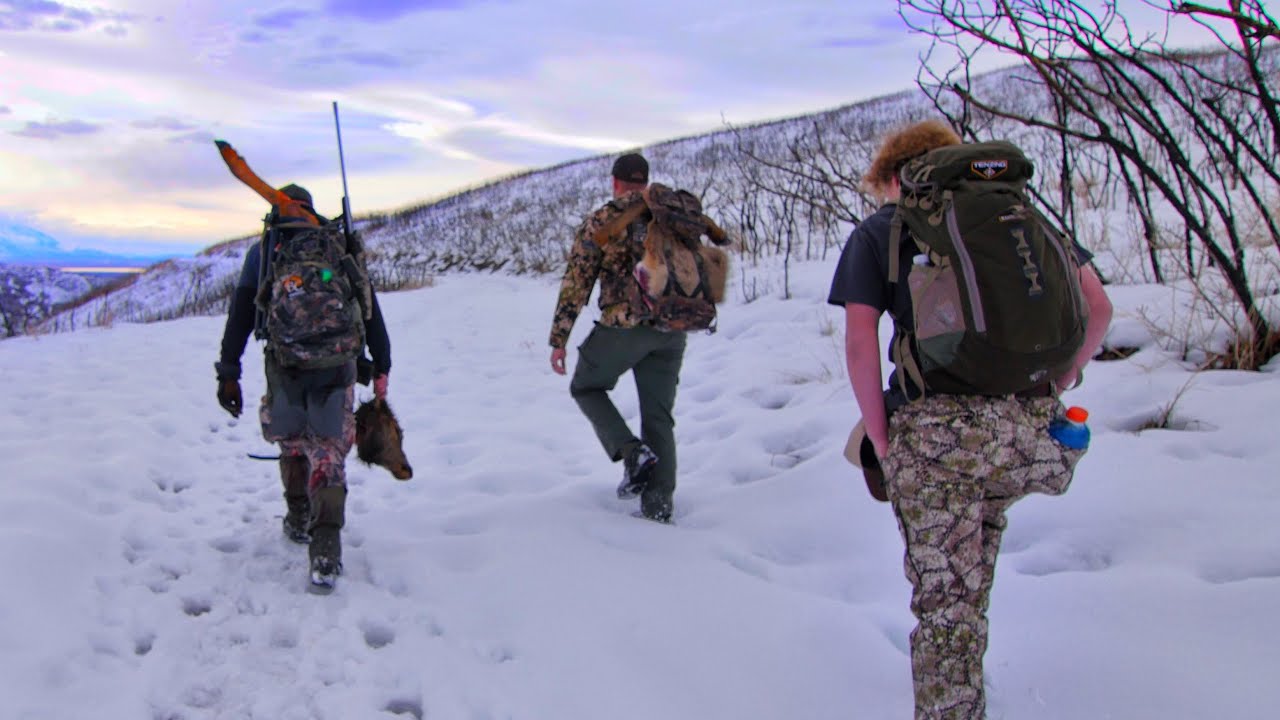 late-season-cow-elk-hunt-it-happened-fast-youtube