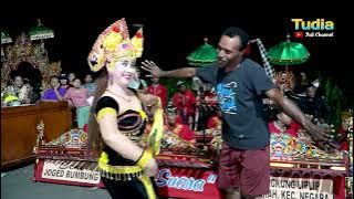 Download lagu Nabung Dulu Bunganya nanti kebun Jagung