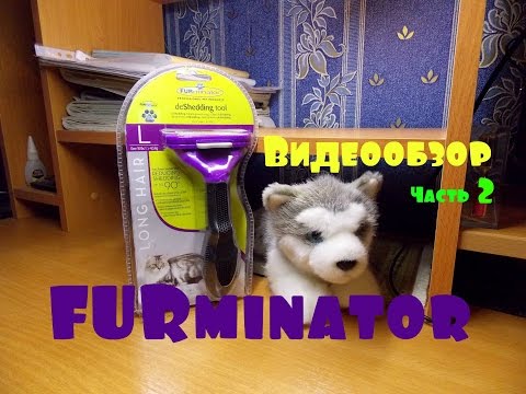 FURminator. Видеообзор. Как правильно выбрать оригинальный ФУРминатор. Часть 2.