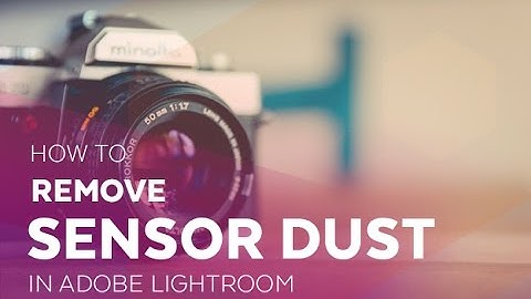 How to Remove Sensor Dust in Adobe Lightroom