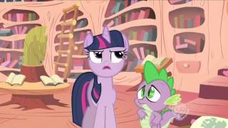 Fluttershy: Your Face!