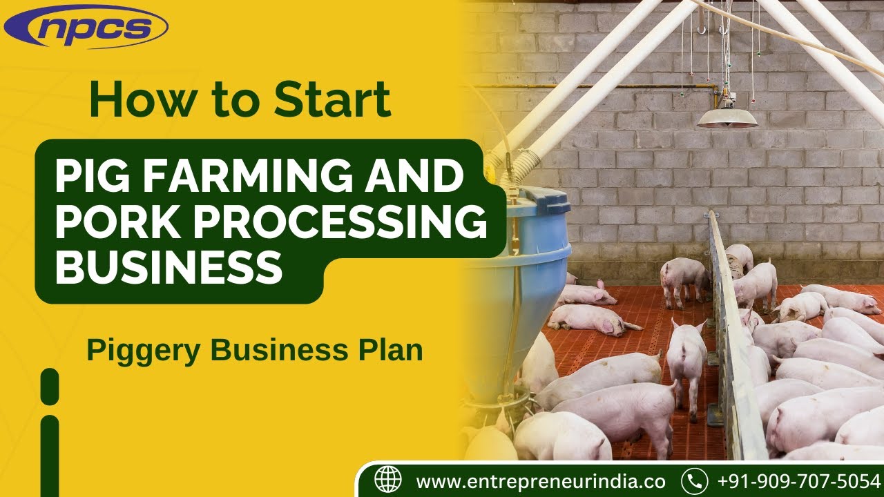 business plan on piggery farming