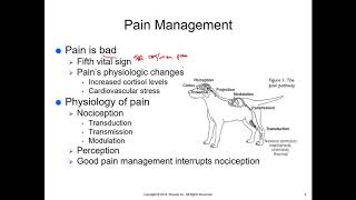McCurnin's Chapter 30, Pain Management