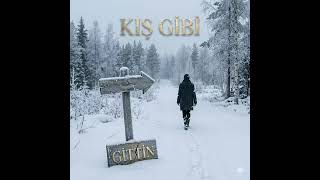 Kış Gibi Gittin