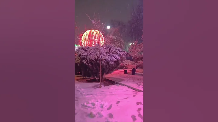 Snowy Night in TEHRAN (Preview) Full video tonight...