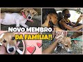 VLOG: ENCONTRAMOS UMA CACHORRINHA NA RUA E ADOTAMOS ELA!!