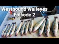 WALLEYE Fishing For A 3 Man Limit! / Westbound Walleyes Ep.2