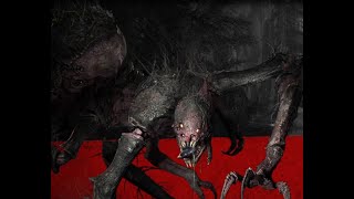 EVOLVE GAMEPLAY 2024--QUICK MATCHES--4K