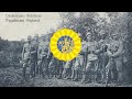 Ukrainian sich riflemen song   zhuravli english lyrics