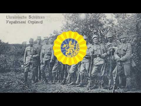 Ukrainian Sich Riflemen Song Журавлі Zhuravli English Lyrics 