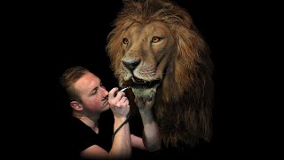 Taxidermy Lion wildlife replica, making off  faux lion, 0% Lion used.