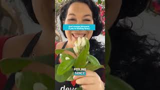 How To Make Torrijas Spains Traditional Holy Week Dessert