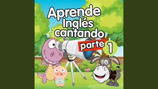 Las partes del cuerpo en ingles