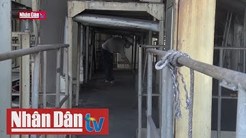 Bảo đảm quyền lợi người lao động trong môi trường độc hại