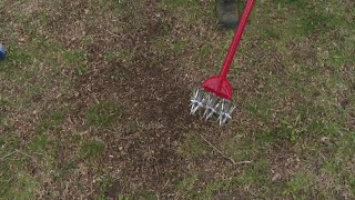 Pat Sullivan's tips for planting grass seeds