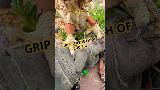 The Glove Is Essential