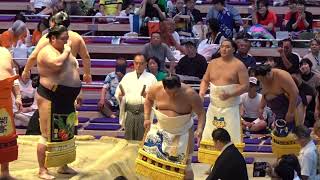 十両土俵入り 錦木 炎鵬 風賢央 出羽ノ龍 旭海雄 他【大相撲令和8年7月