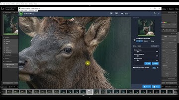 Salvaging a High ISO/Noisy Photo in Topaz DeNoise/Adobe Lightroom