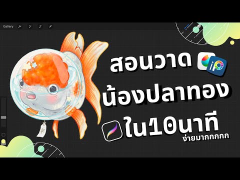 ผลสลากกินแบ่งรัฐบาล วันที่ 1 พย. 2567