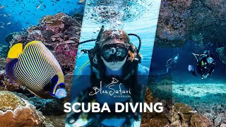 The ultimate Scuba Diving experience in Seychelles | Blue Safari Seychelles