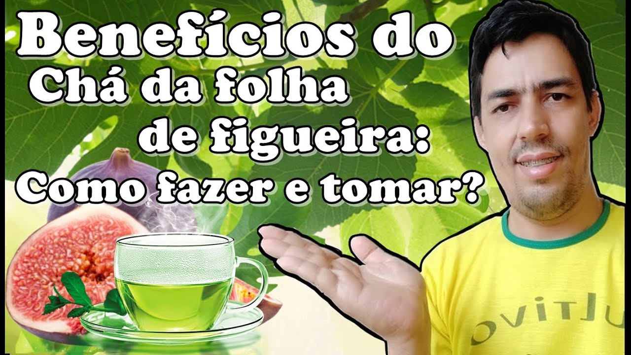 Chá da folha de figueira e seus Benefícios! Como fazer e tomar? - YouTube