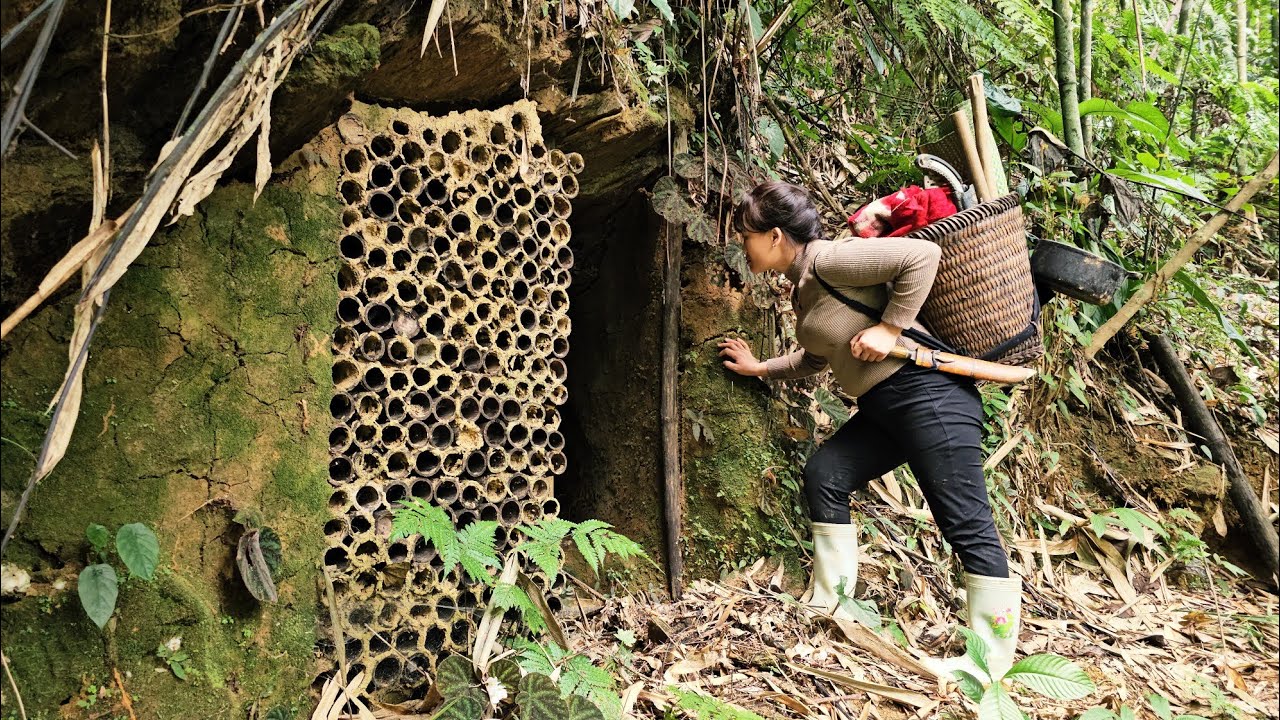 Surviving the wild: a girl discovers an abandoned underground house to call home.